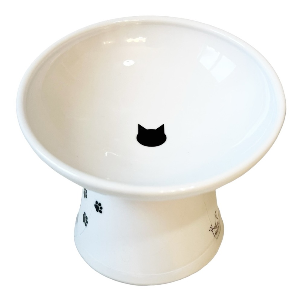 Raised Tilted Ergonomic Cat Feeder Bowl White